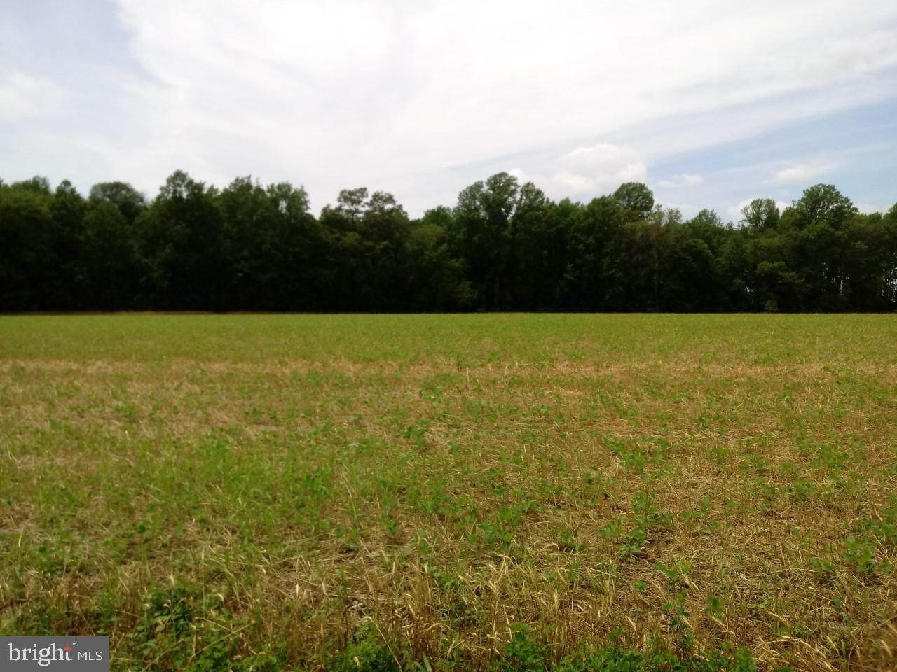 4025 Hawkeye Road - Photo 1