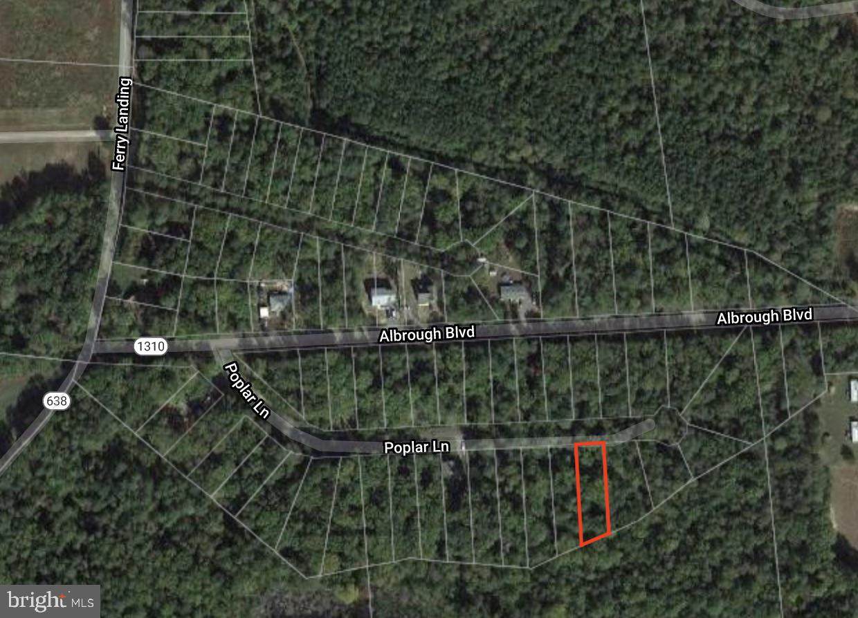 LOT 17 - Poplar Lane - Photo 1 LOT 17 - Poplar Lane - Photo 1