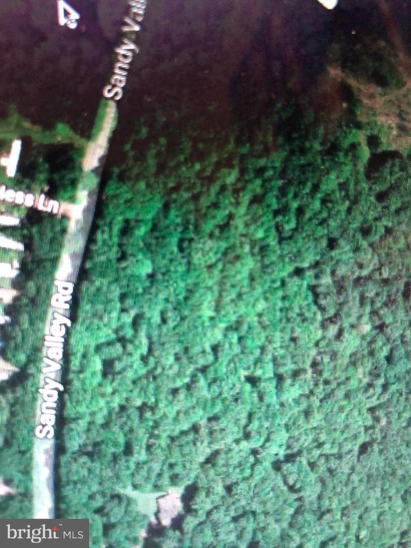 LOT 21 Sandy Valley Rd - Photo 1