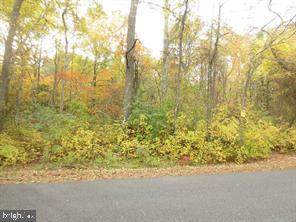 319 Burrs Mill Road - Photo 1