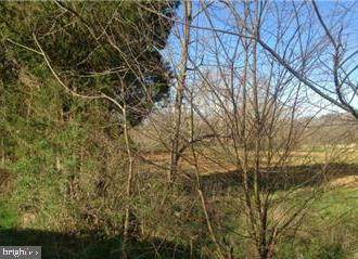 Persimmon Lane - Photo 1