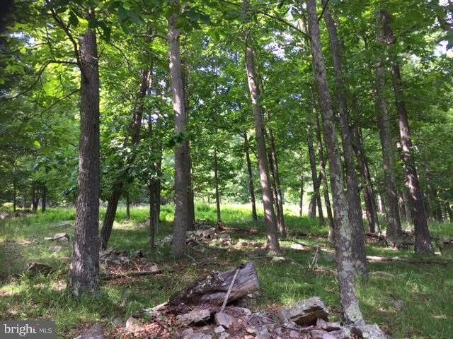 181 Castle Mountain Camps Road - Photo 1