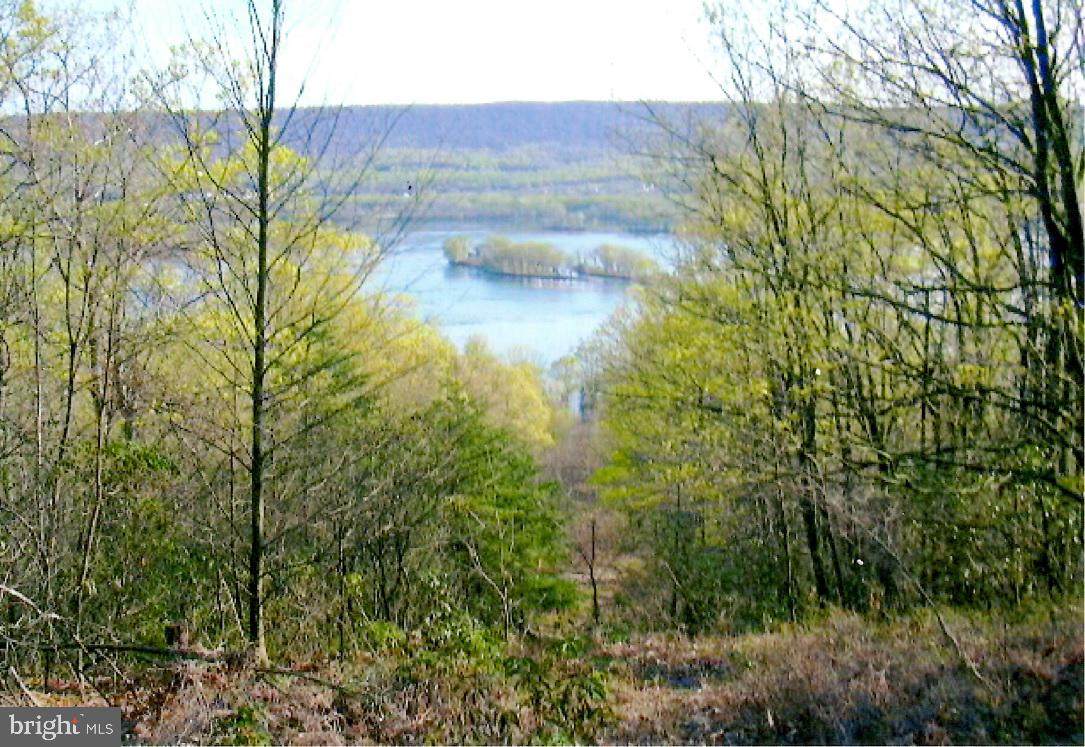 0 Old State Road - Photo 1 0 Old State Road - Photo 1