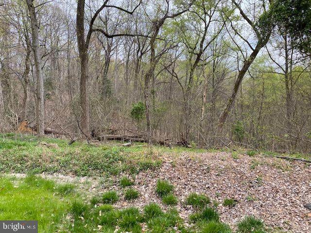 Piscataway Drive - Photo 1