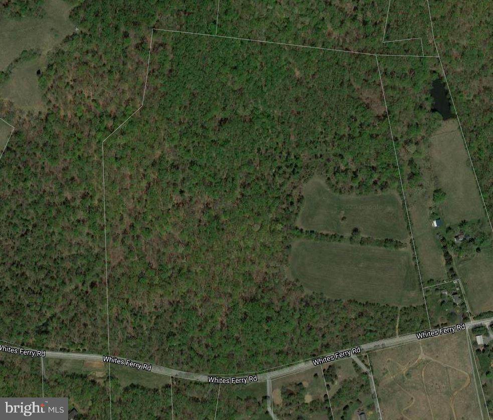 23521 Whites Ferry - Photo 1