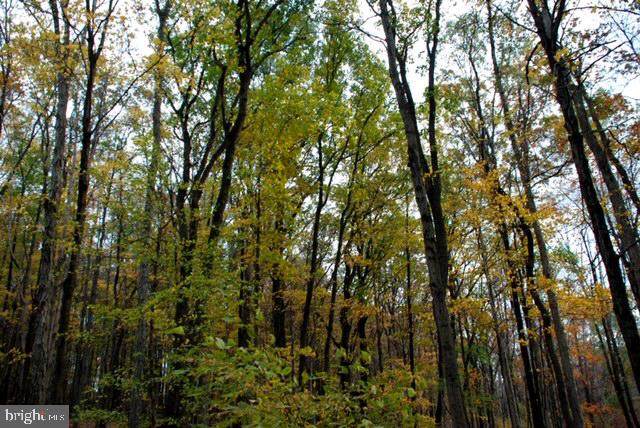 Lot 2 Upper Rocky Dale Road - Photo 1
