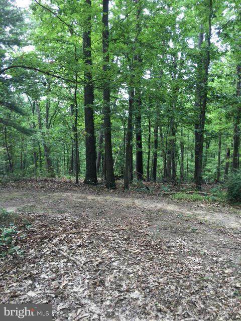 0 Western Court Lot 28 - Photo 1 0 Western Court Lot 28 - Photo 1