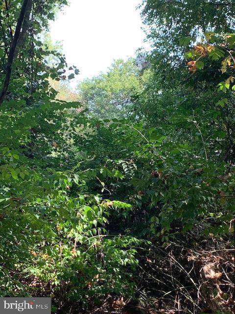 340 Black Oak Trail - Photo 1