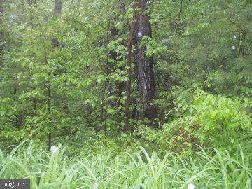 0 Ns Lancaster Avenue - Photo 1