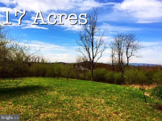 Apple Pie Ridge Road Lot 7 (17 Acres) - Photo 1