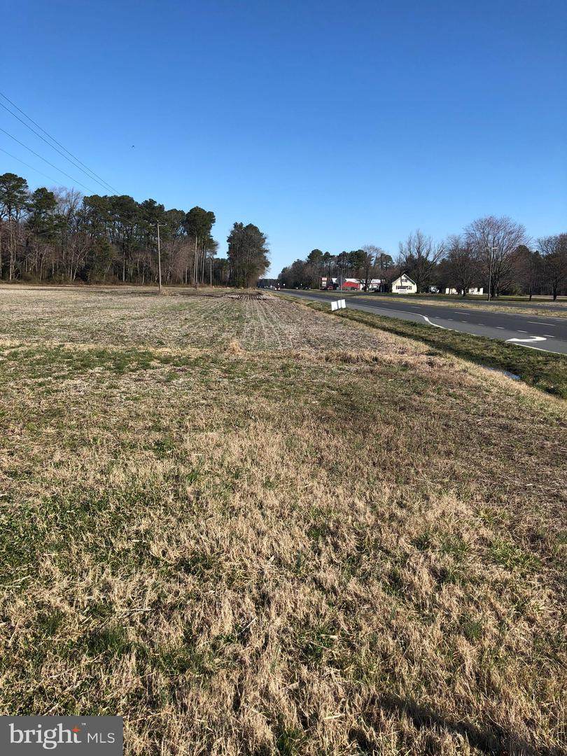 18.362 Acres Dupont Road - Photo 1