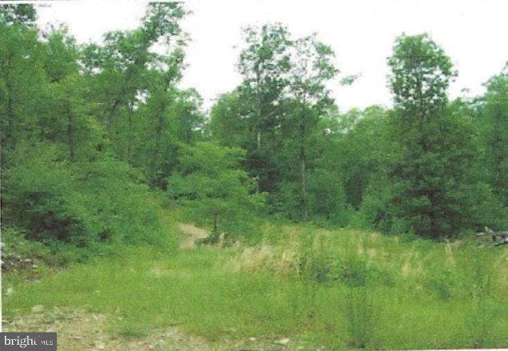 Tract 9, Kessell Way - Photo 1