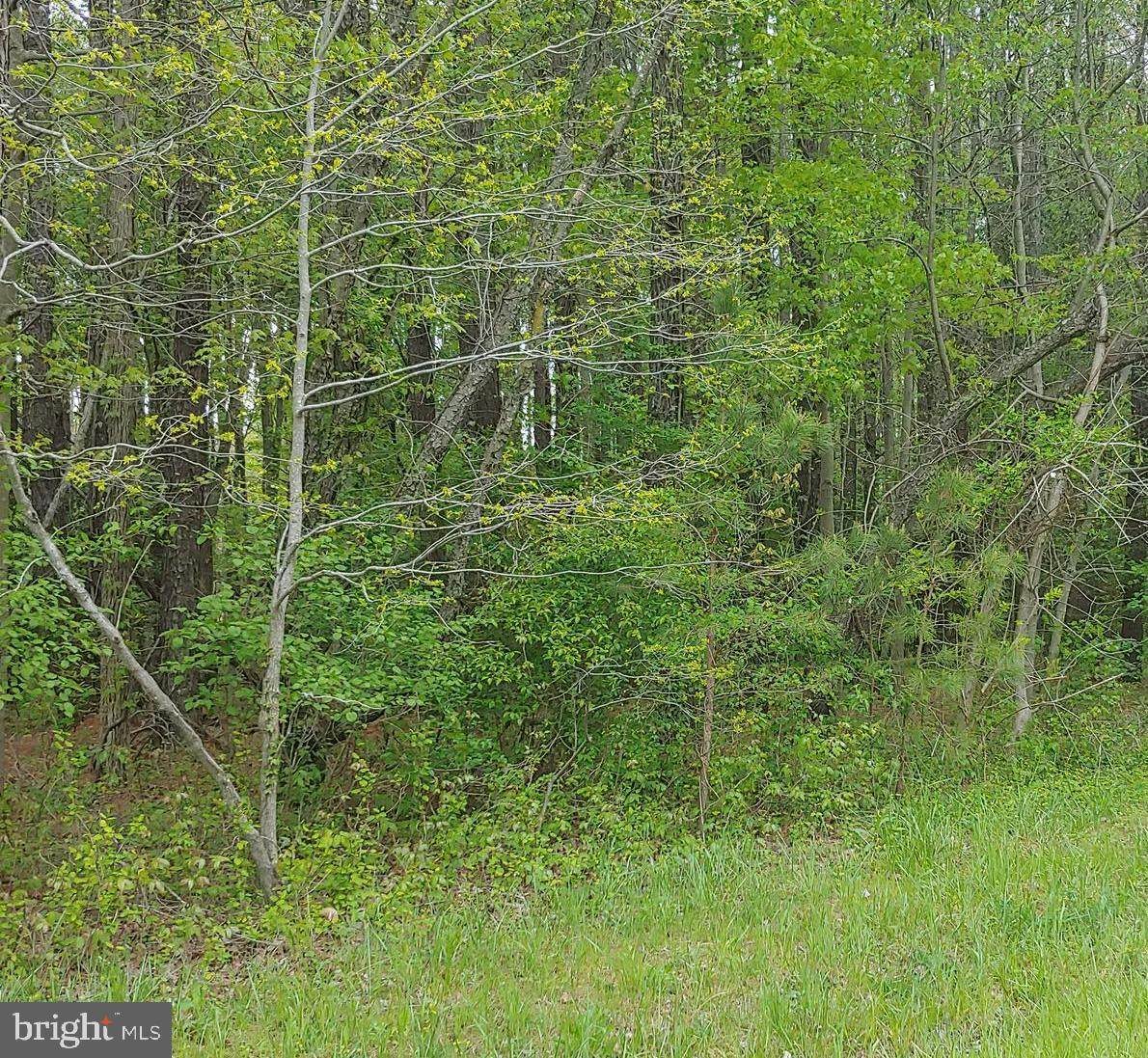 124 Pennick Drive - Photo 1