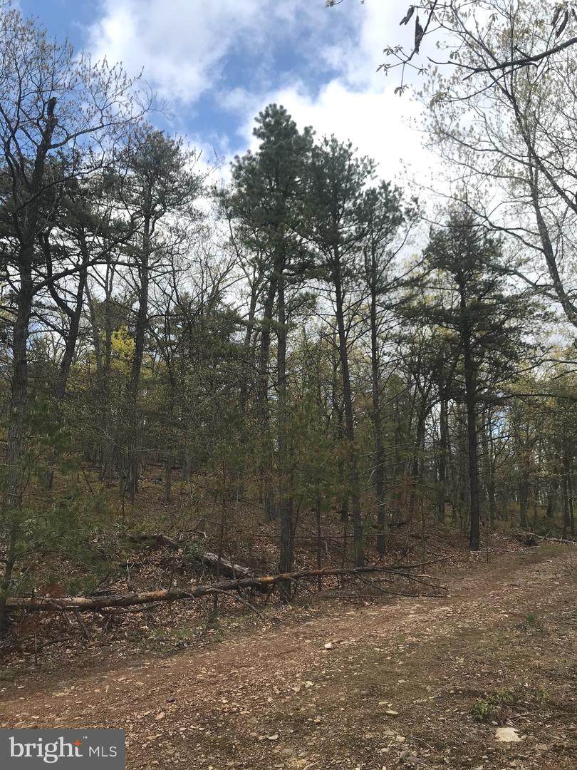 Mimosa Trail - Photo 1