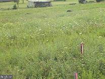0 Quail Circle - Photo 1