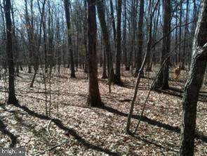 Mt. Airy Road - Photo 1