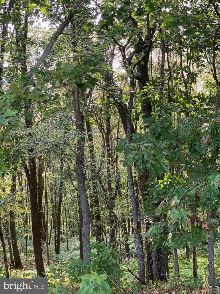 Red Oak Rd - Photo 1