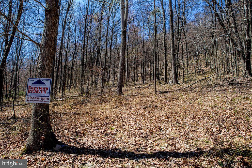 Little Valley Road - Photo 1