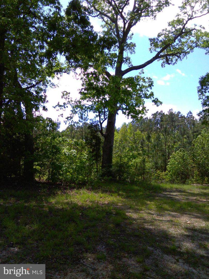 0-B 0A SQUIRREL HOLLOW - Photo 1