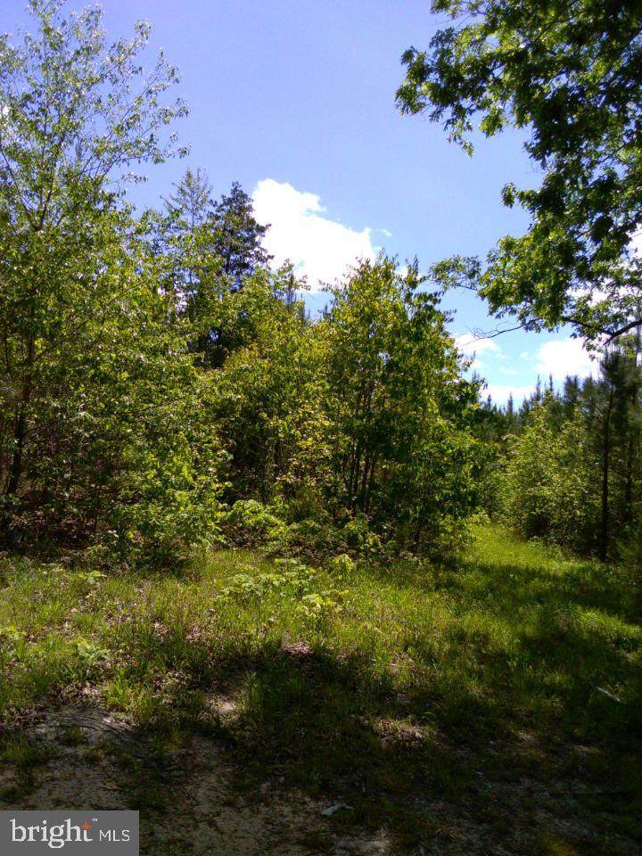 0 A Squirrel Hollow Road - Photo 1