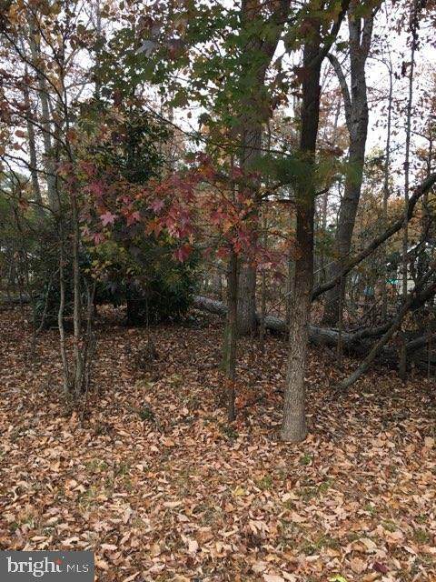 0 Potomac Shore Drive - Photo 1