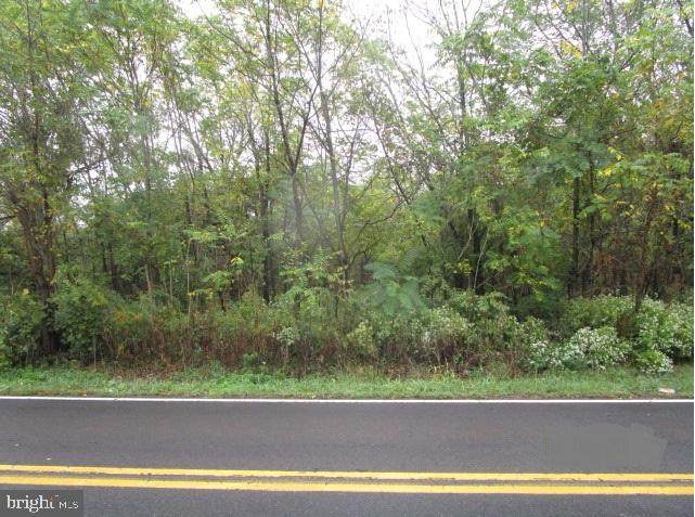 0 Falls Tullytown Road - Photo 1