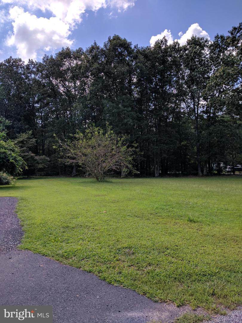 0 Aster Avenue - Photo 1
