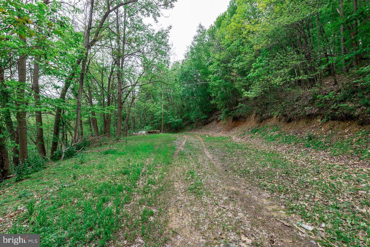 0 Piney Mountain Dr - Photo 1 0 Piney Mountain Dr - Photo 1