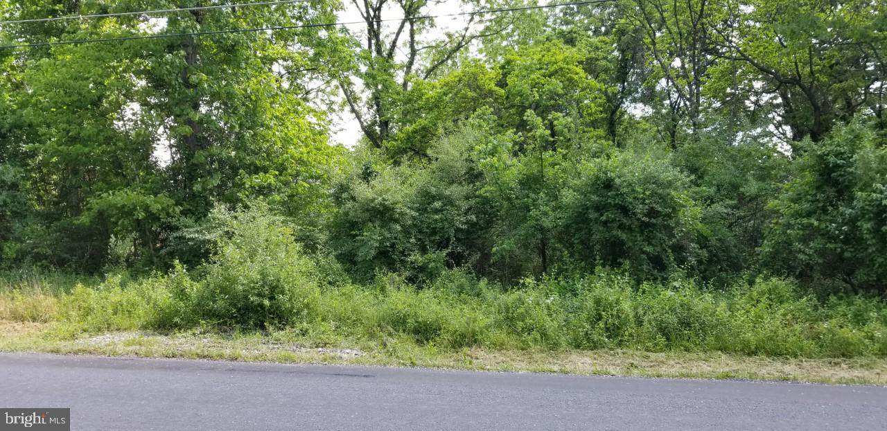 4 Mindy Trail - Photo 1