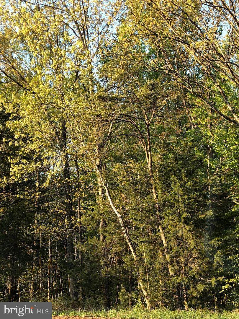 12038 Nokesville Road - Photo 1