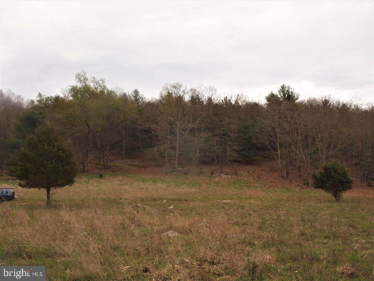Lancelot Lane (Off Of Dry Run Rd) - Photo 1