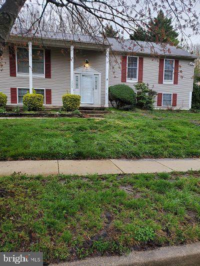 7304 Loanda Drive - Photo 1