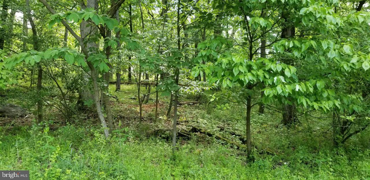 19 Shirley Trail - Photo 1