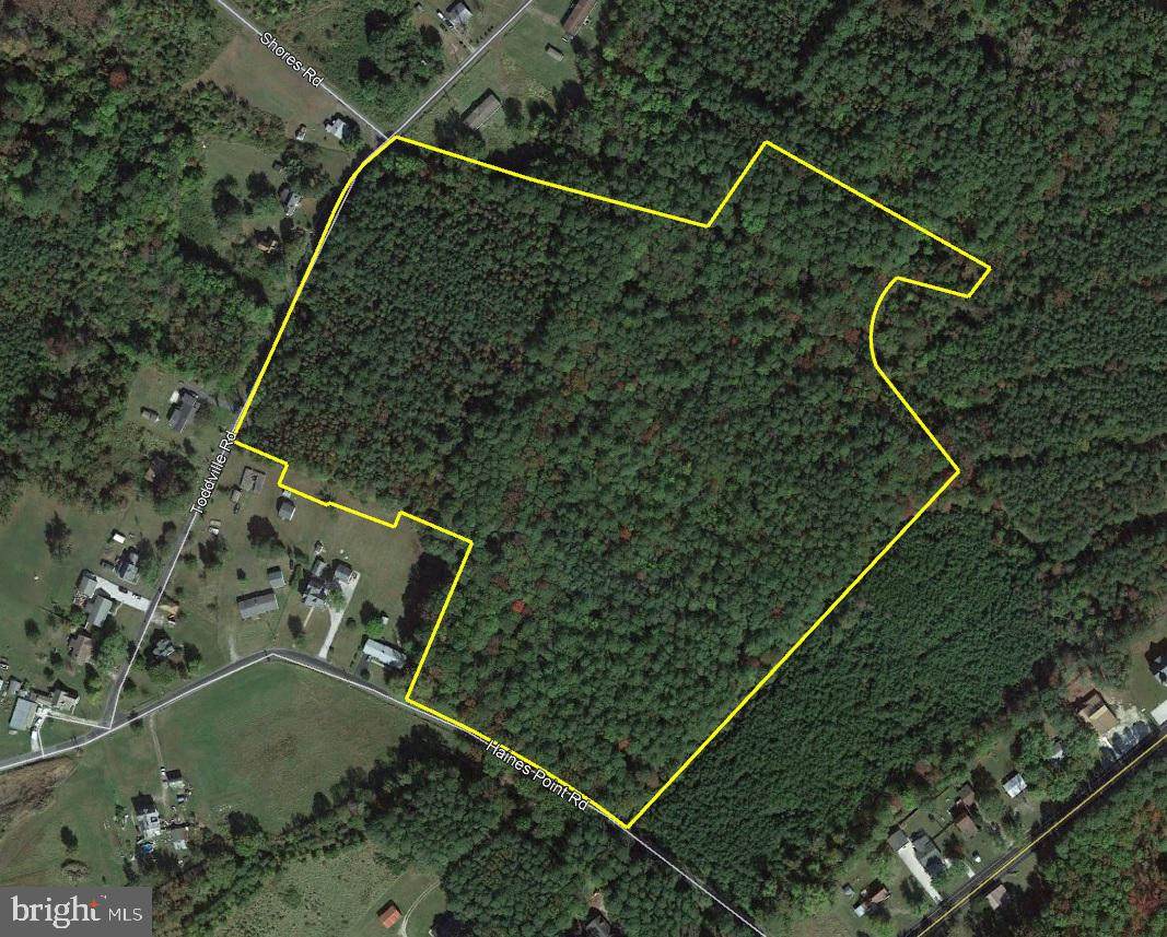 0 Haines Point Road - Photo 1