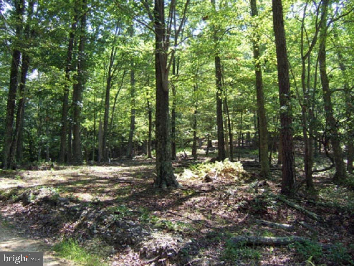 Loop Road - Photo 1