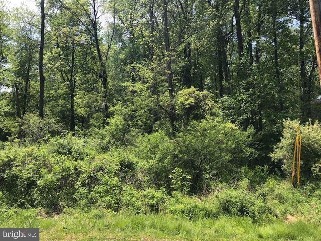 Lot 45 Company Farm Road - Photo 1