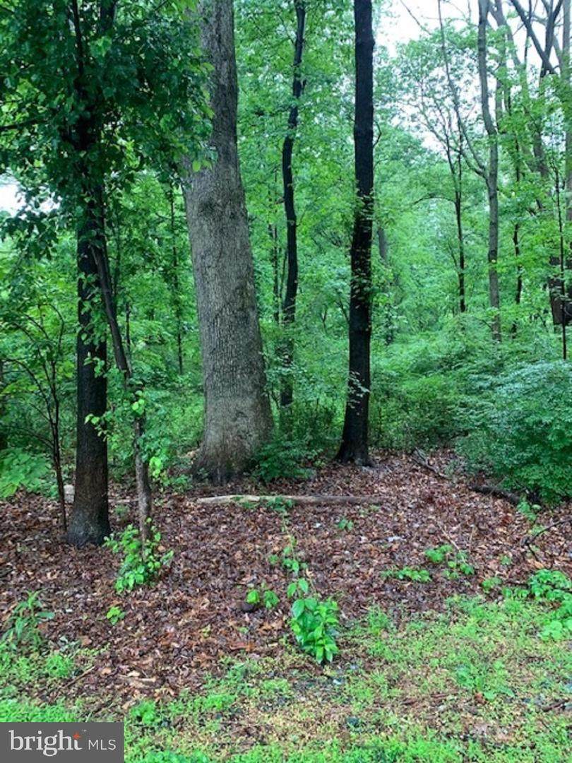 5100 Brookeville Road - Photo 1