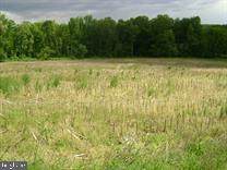 Lot 2 Thompson Road - Photo 1
