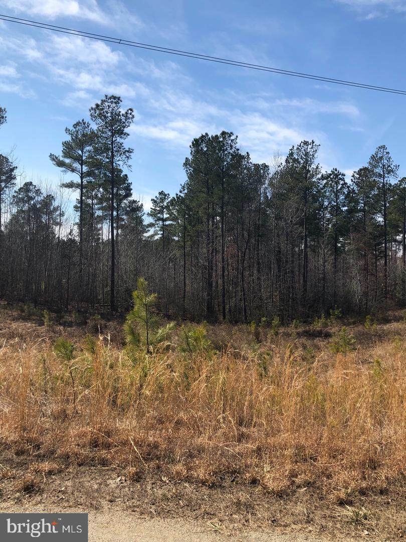 Lot 3 Brooke Ridge Lane - Photo 1