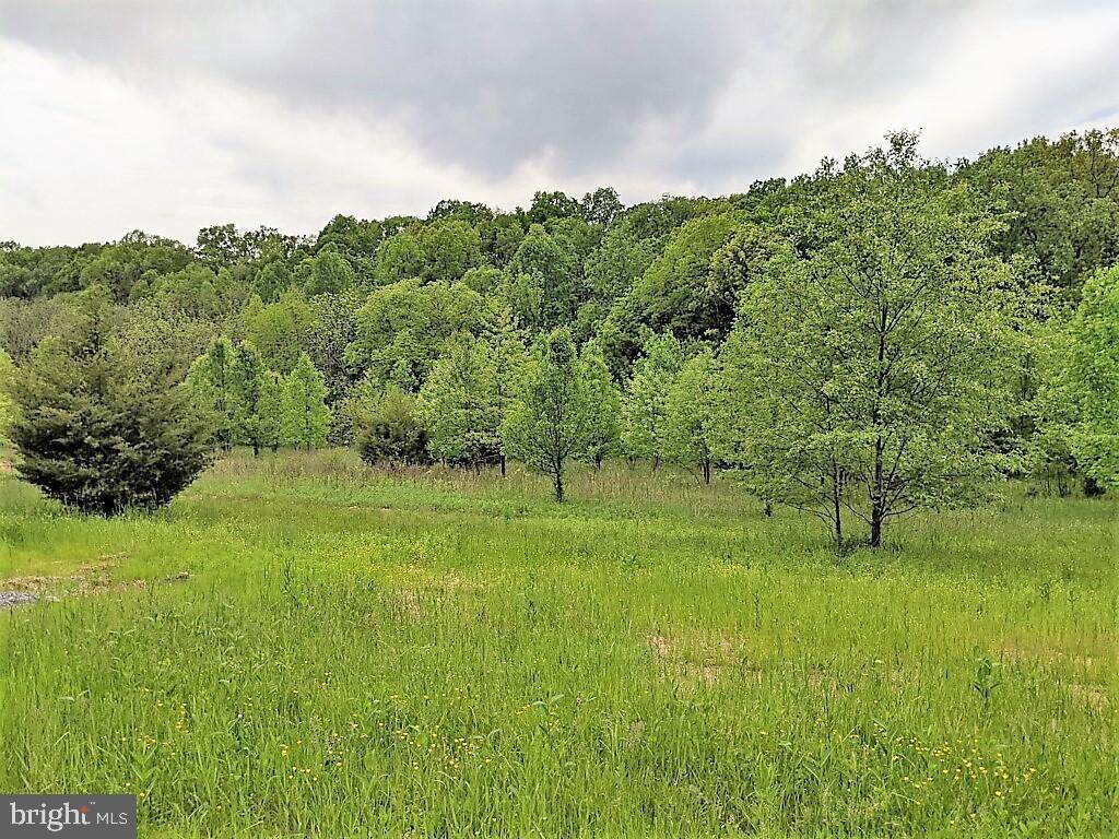 3337 Buffalo Road - Photo 1