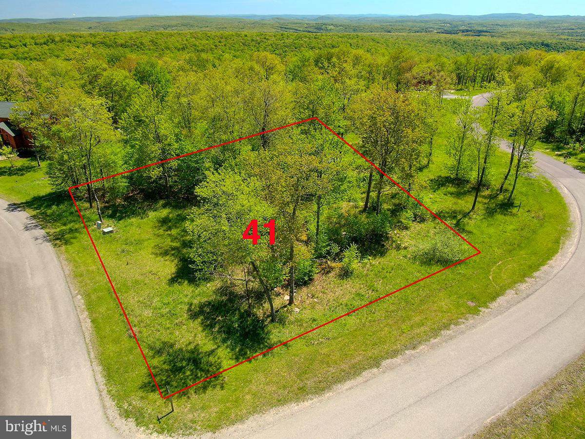 Lot 41 Old Camp Rd - Photo 1
