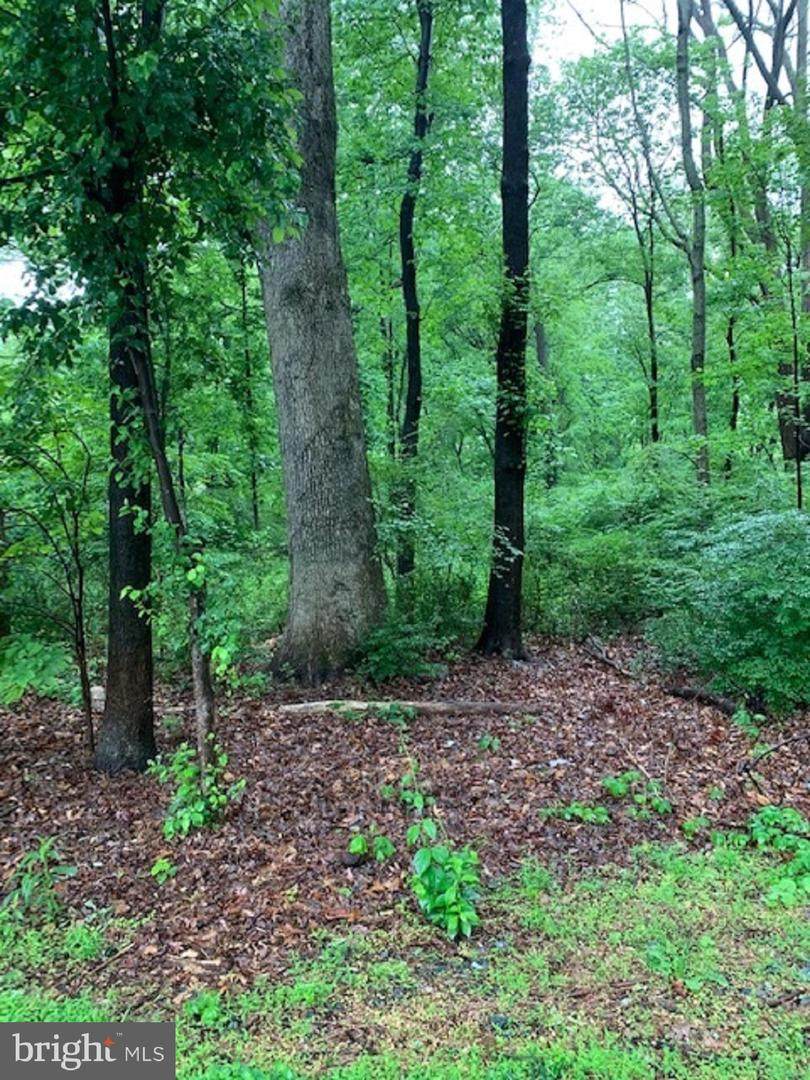 10065 Guilford Road - Photo 1