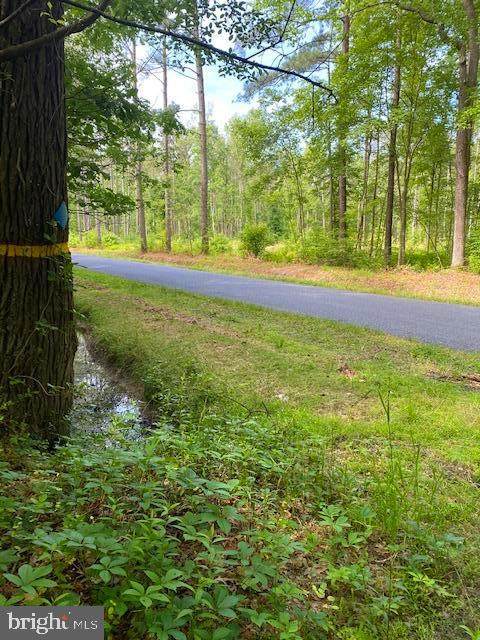 0 Drawbridge Road - Photo 1