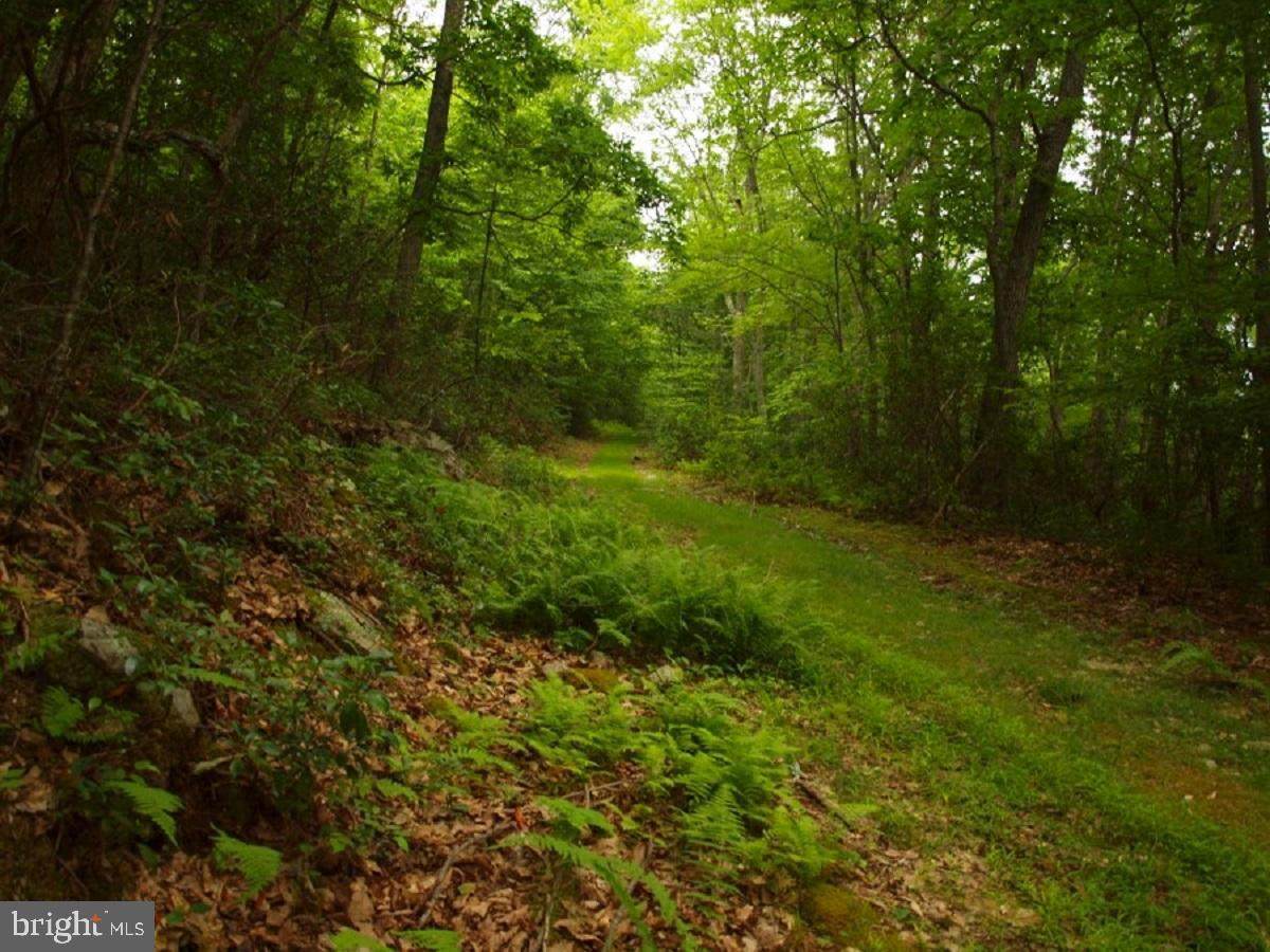 00 Long Mountain Rd. - Photo 1