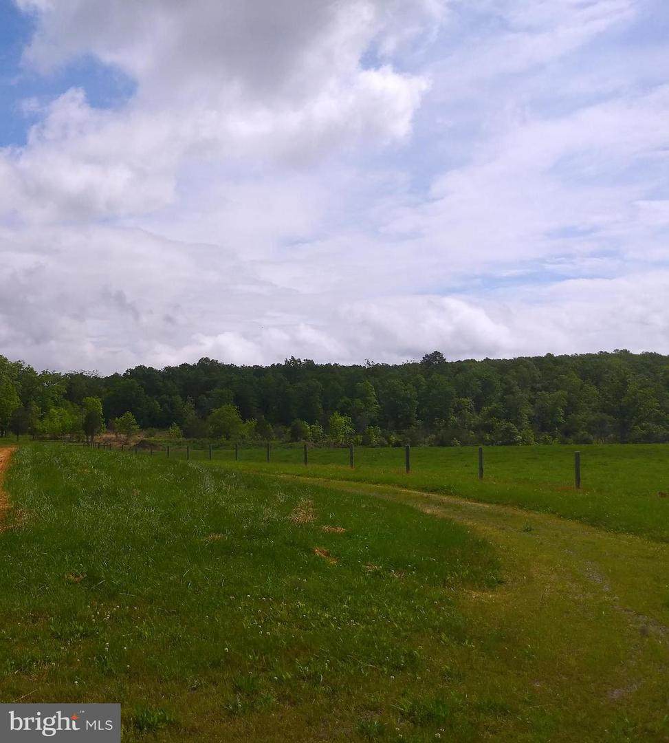 Back Mountain Road - Photo 1