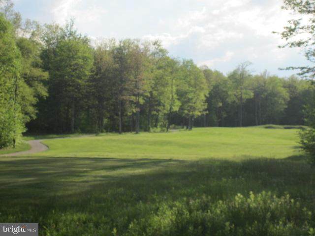 Lot 135 Biltmore View - Photo 1