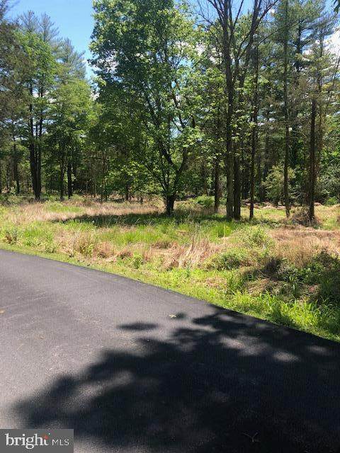 13 Lily Valley Road - Photo 1