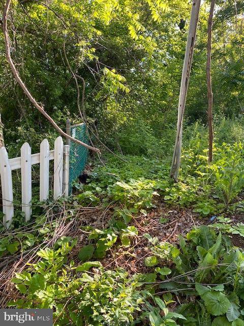 4105A White Ave - Photo 1