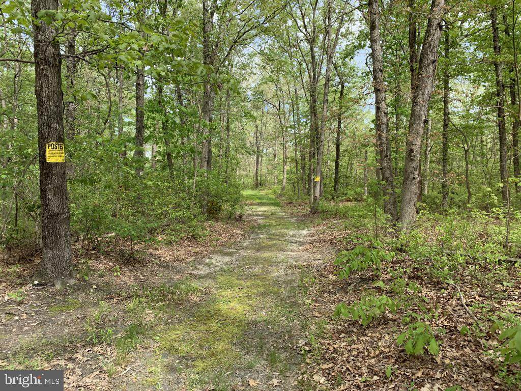 650 Malaga Road - Photo 1