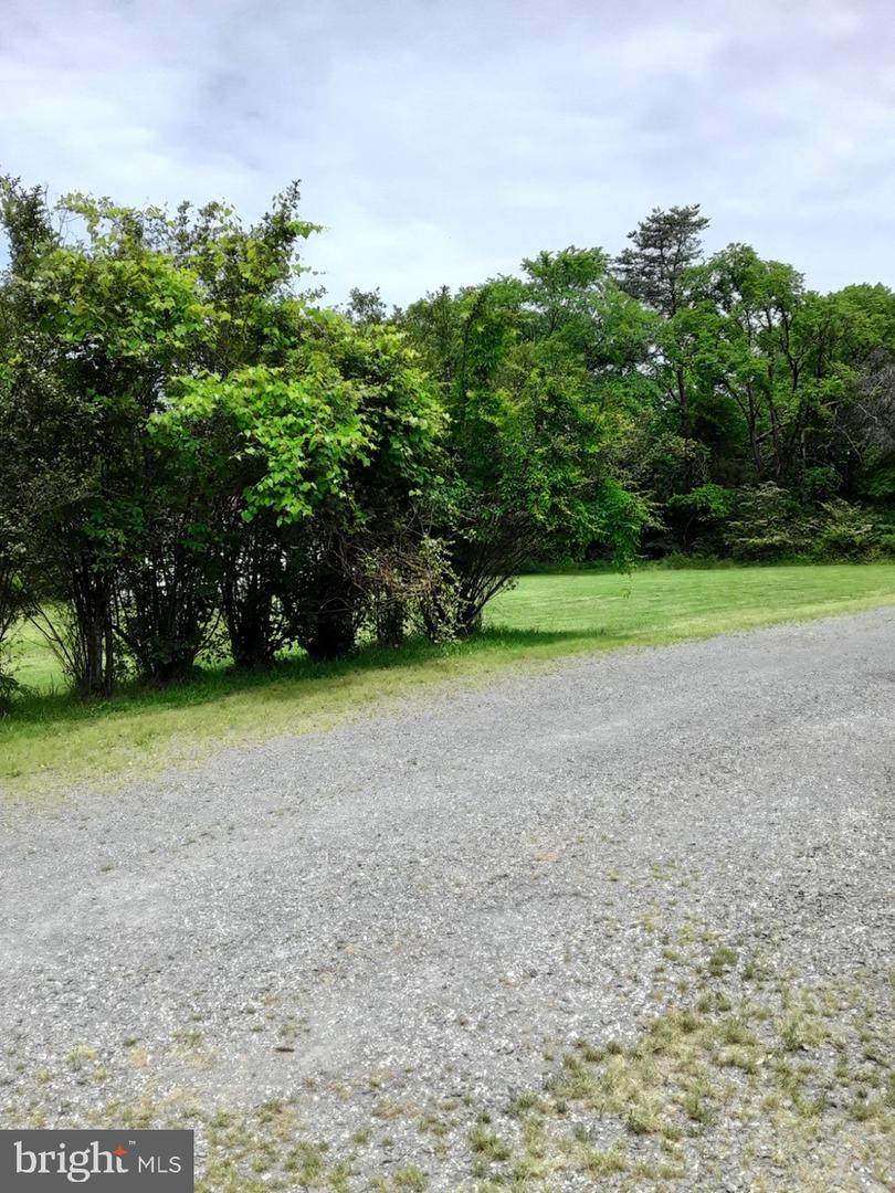 7117 Centreville Road - Photo 1